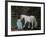 Let's Pretend - the Princess and Her Horse-Kirstie Adamson-Framed Giclee Print