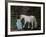 Let's Pretend - the Princess and Her Horse-Kirstie Adamson-Framed Giclee Print