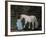 Let's Pretend - the Princess and Her Horse-Kirstie Adamson-Framed Giclee Print