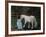 Let's Pretend - the Princess and Her Horse-Kirstie Adamson-Framed Giclee Print