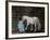 Let's Pretend - the Princess and Her Horse-Kirstie Adamson-Framed Giclee Print