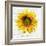 Let The Sun Shine-ALI Chris-Framed Giclee Print