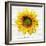 Let The Sun Shine-ALI Chris-Framed Giclee Print