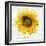 Let The Sun Shine-ALI Chris-Framed Giclee Print