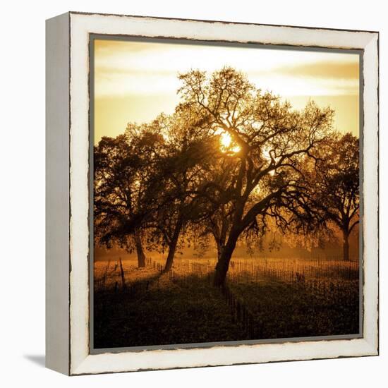 Let There be Light-Lance Kuehne-Framed Stretched Canvas