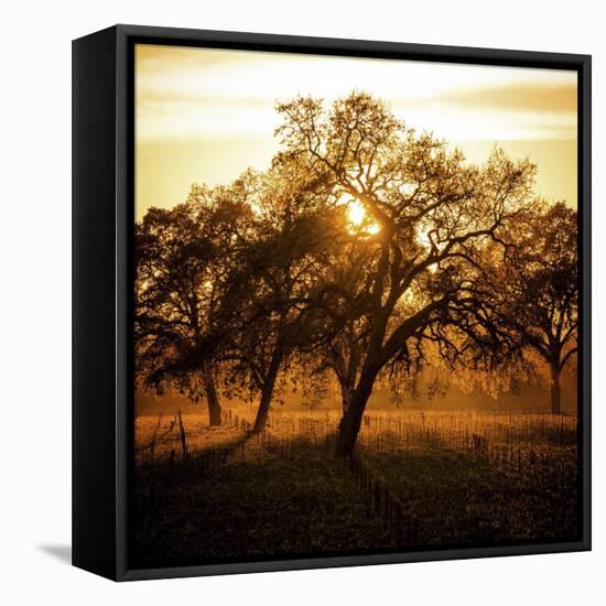 Let There be Light-Lance Kuehne-Framed Stretched Canvas