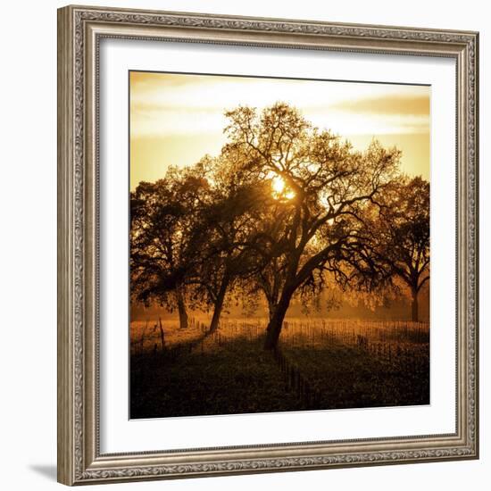 Let There be Light-Lance Kuehne-Framed Photographic Print