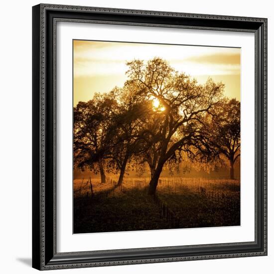 Let There be Light-Lance Kuehne-Framed Photographic Print