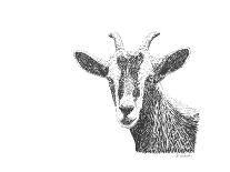 Z10 Goat-Let Your Art Soar-Giclee Print