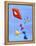 Lets Go Fly a Kite-Cindy Thornton-Framed Stretched Canvas