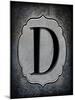 Letter D-LightBoxJournal-Mounted Giclee Print