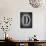 Letter D-LightBoxJournal-Mounted Giclee Print displayed on a wall