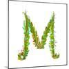 Letter M Flower Calligraphy Floral Elegant Decorative Alphabet. Floral Colorful Calligraphy Design-Popmarleo-Mounted Art Print