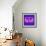 Letter M Purple-NaxArt-Framed Art Print displayed on a wall