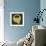Letter Q Yellow-NaxArt-Framed Art Print displayed on a wall