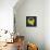 Letter Q Yellow-NaxArt-Framed Stretched Canvas displayed on a wall