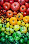 Fresh Heirloom Tomatoes Background, Organic Produce at a Farmer's Market. Tomatoes Rainbow.-Letterberry-Mounted Photographic Print