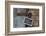 Lettered Board, 'Gute Reise', Old Wooden Door-Andrea Haase-Framed Photographic Print