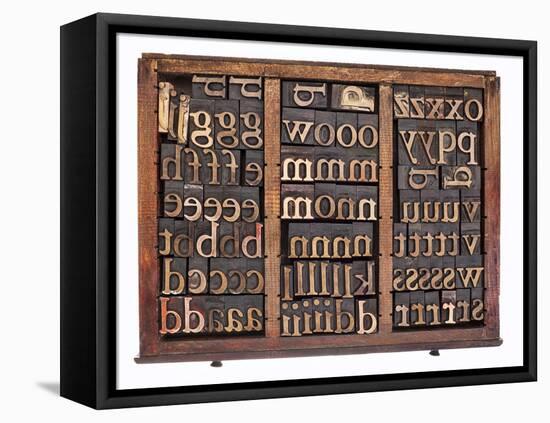 Letterpress Wood Type Printing Blocks in Old Typesetter Drawer Isolated on White-PixelsAway-Framed Stretched Canvas