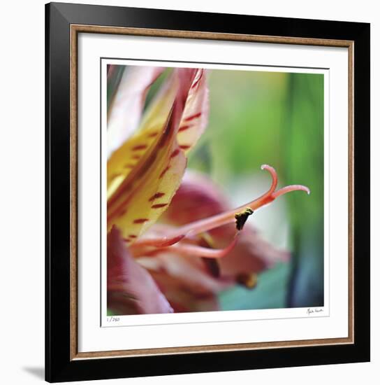 Letting Go-Michelle Wermuth-Framed Giclee Print