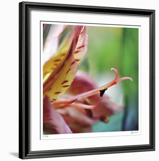 Letting Go-Michelle Wermuth-Framed Giclee Print