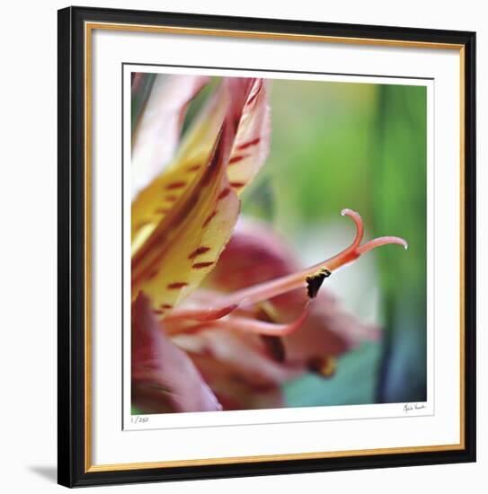 Letting Go-Michelle Wermuth-Framed Giclee Print