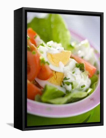 Lettuce, Egg, Tomato and Yoghurt Dressing-null-Framed Premier Image Canvas