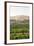 Lettuce Growing In A Field In The Sierraville Valley, Northern California-Shea Evans-Framed Photographic Print