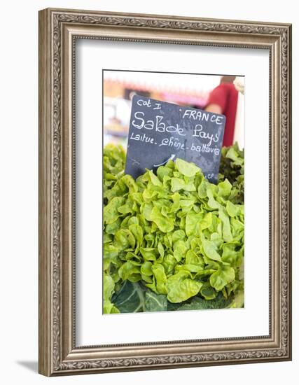 Lettuce in outdoor market, Nice, Cote d'Azur, France-Lisa S. Engelbrecht-Framed Photographic Print