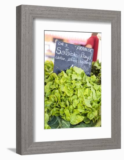 Lettuce in outdoor market, Nice, Cote d'Azur, France-Lisa S. Engelbrecht-Framed Photographic Print