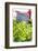 Lettuce in outdoor market, Nice, Cote d'Azur, France-Lisa S. Engelbrecht-Framed Photographic Print