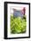 Lettuce in outdoor market, Nice, Cote d'Azur, France-Lisa S. Engelbrecht-Framed Photographic Print