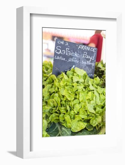 Lettuce in outdoor market, Nice, Cote d'Azur, France-Lisa S. Engelbrecht-Framed Photographic Print