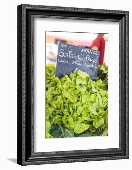 Lettuce in outdoor market, Nice, Cote d'Azur, France-Lisa S. Engelbrecht-Framed Photographic Print