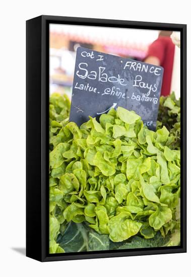 Lettuce in outdoor market, Nice, Cote d'Azur, France-Lisa S. Engelbrecht-Framed Premier Image Canvas