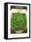 Lettuce Seed Packet-null-Framed Stretched Canvas