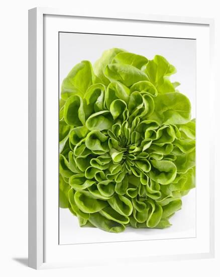 Lettuce-Barbara Lutterbeck-Framed Photographic Print