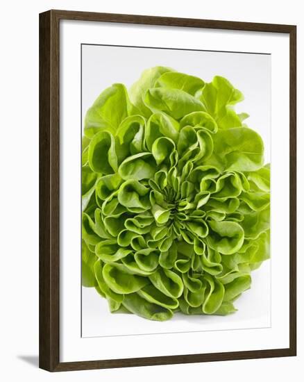 Lettuce-Barbara Lutterbeck-Framed Photographic Print