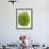 Lettuce-Barbara Lutterbeck-Framed Photographic Print displayed on a wall