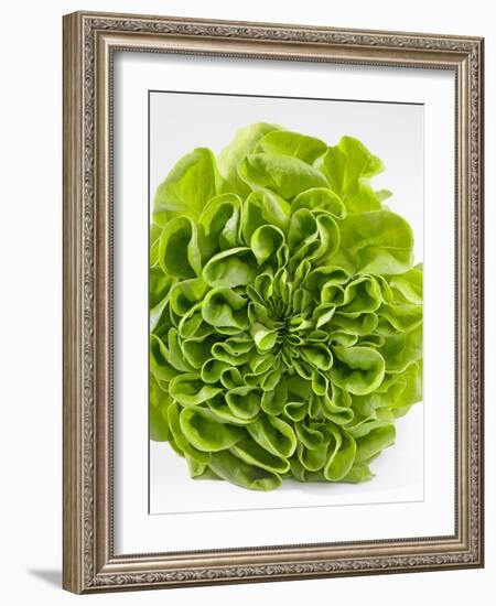 Lettuce-Barbara Lutterbeck-Framed Photographic Print