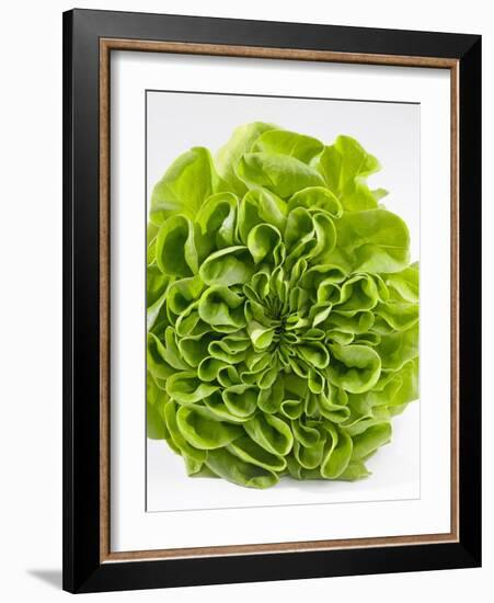 Lettuce-Barbara Lutterbeck-Framed Photographic Print