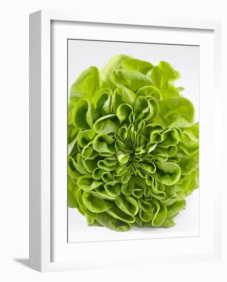 Lettuce-Barbara Lutterbeck-Framed Photographic Print