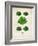 Lettuce-null-Framed Premium Giclee Print