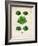 Lettuce-null-Framed Premium Giclee Print