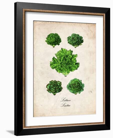 Lettuce-null-Framed Premium Giclee Print