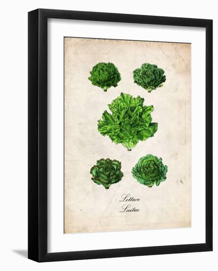 Lettuce-null-Framed Premium Giclee Print