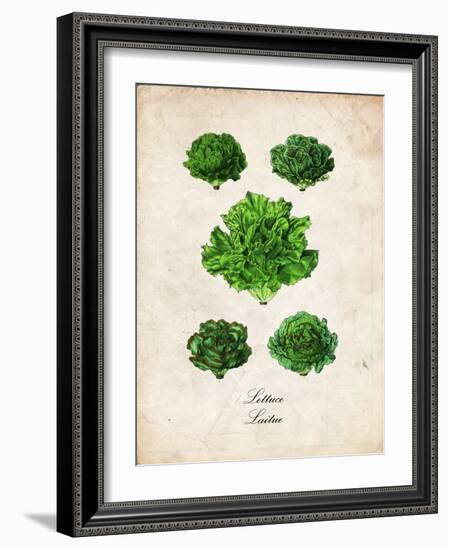 Lettuce-null-Framed Premium Giclee Print