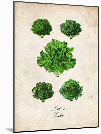Lettuce-null-Mounted Art Print