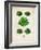 Lettuce-null-Framed Art Print