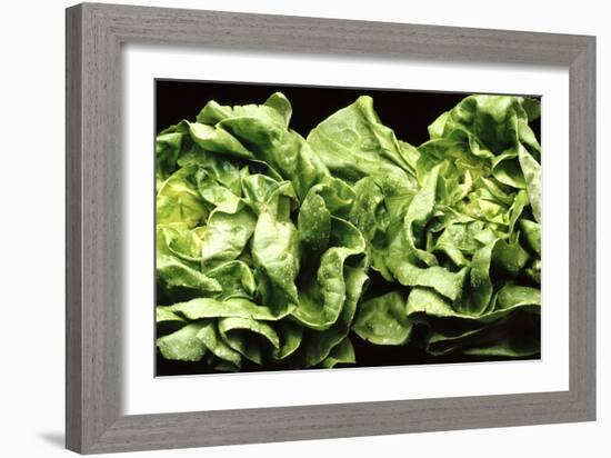 Lettuces-Victor De Schwanberg-Framed Photographic Print